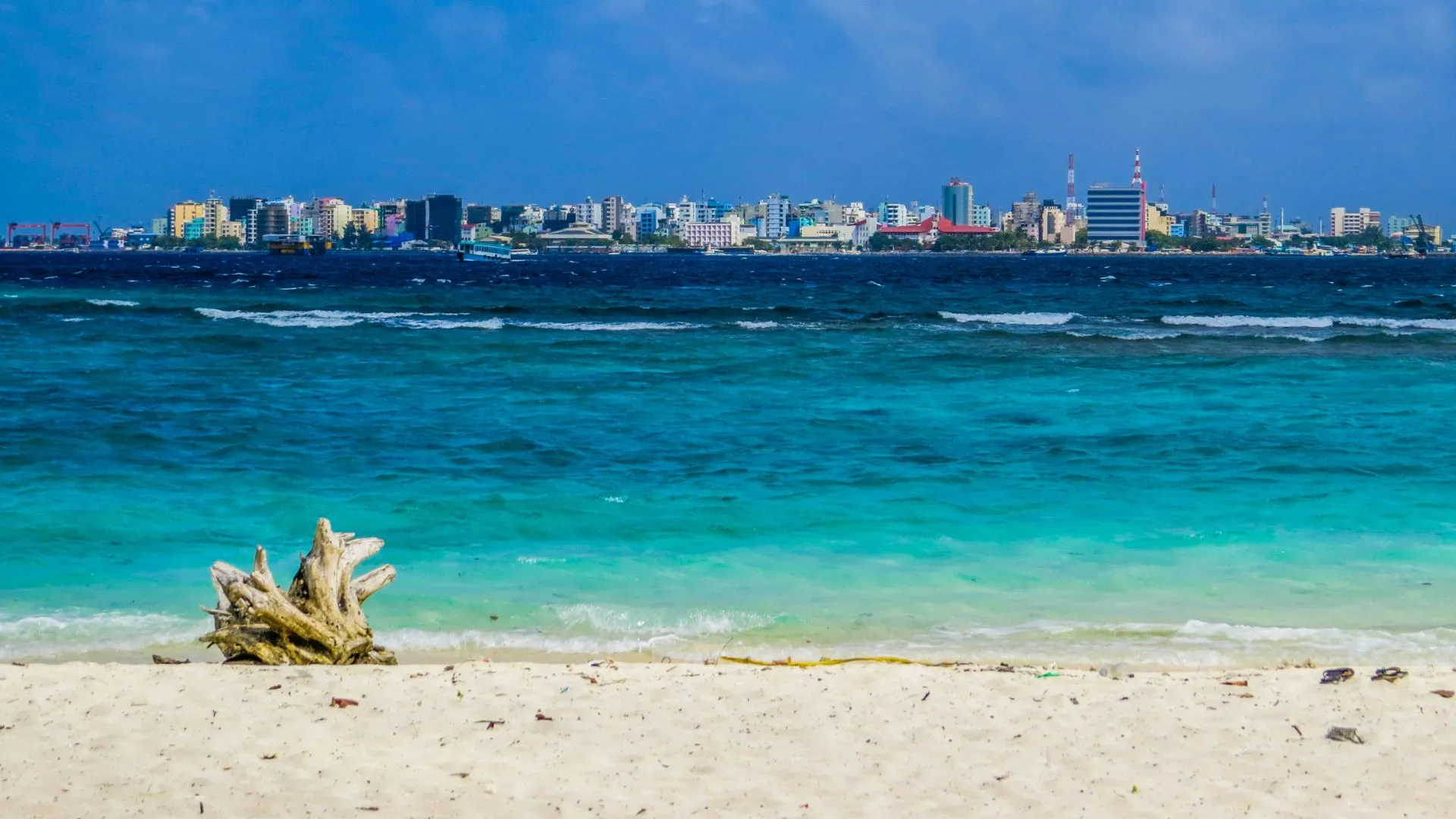 View across the sea to the densely built capital Malé with high-rise buildings on the horizon, a driftwood stump on the beach in the foreground