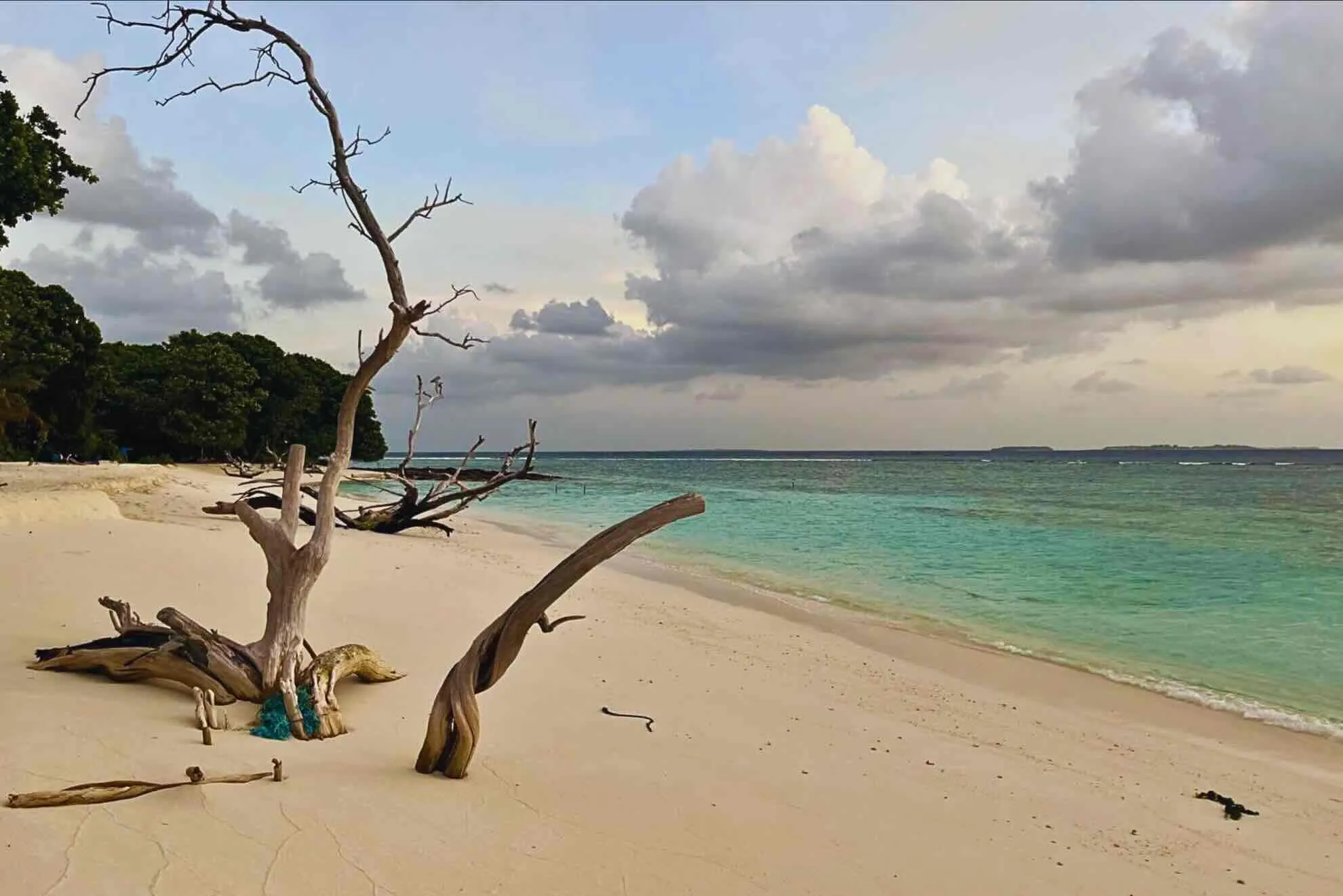 An empty white beach with driftwood and turquoise water under a soft cloudy sky
